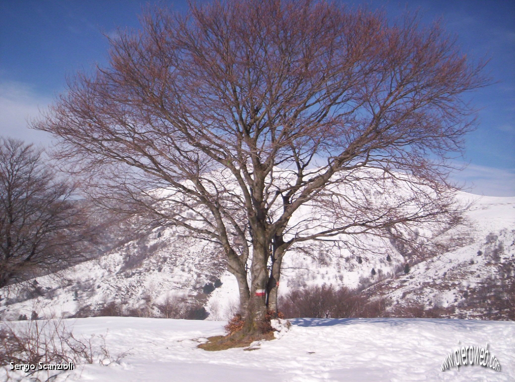 10 Armonia della natura.JPG